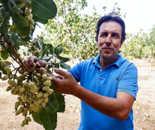 CIAG. Esaú Martínez, Técnico del Cultivo de Pistachero en El Chaparrillo