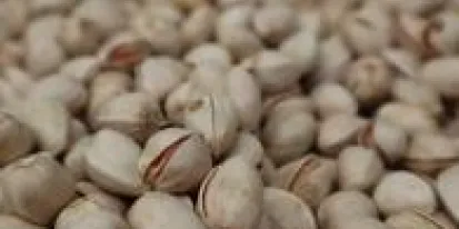 Castilla-La Mancha región líder en producción del pistacho