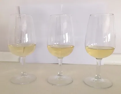 Comparativa de vinos.