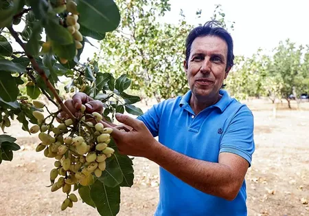 CIAG. Esaú Martínez, Técnico del Cultivo de Pistachero en El Chaparrillo